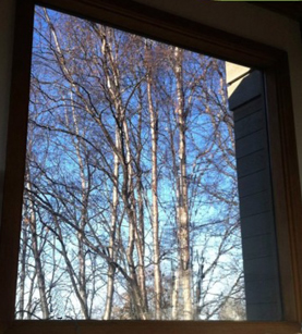 After: Restored Historic Window in Indianapolis, IN