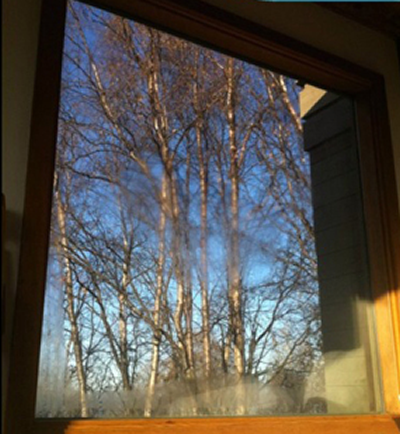 Before: Historic Window Damage in Indianapolis, IN